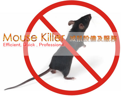 香港滅鼠專家-滅鼠器、捕鼠器、驅鼠器, 滅鼠專門店 Mouse Killer 香港滅鼠專家-滅鼠器、捕鼠器、驅鼠器, 滅鼠專門店 Mouse Killer